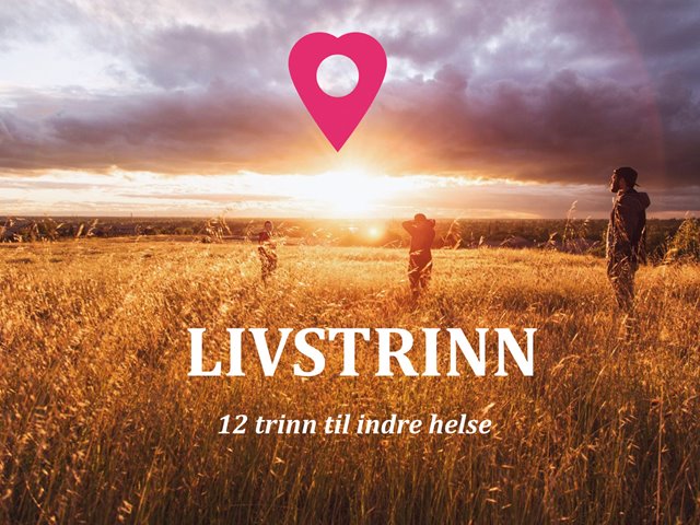 Livstrinn – 12 trinn til indre helse